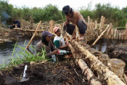 BRGM tingkatkan kolaborasi percepat pemulihan ekosistem gambut