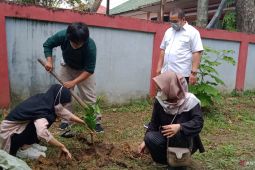 Peserta Program Mahasiswa Wirausaha Unja tanam pinang di Kantor ANTARA Biro Jambi