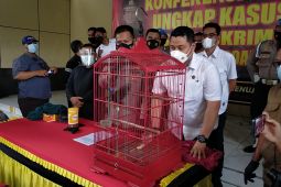Polisi Sidoarjo tangkap pelaku perdagangan satwa dilindungi