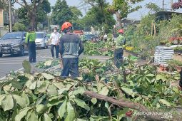 Wali Kota Bogor ingatkan jajarannya siaga antisipasi cuaca ekstrem
