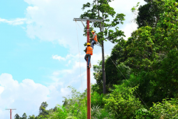 PLN nyalakan listrik 24 jam di Kecamatan Simpang Dua dan Jelai Hulu Ketapang