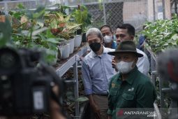 Menkop sebut pasar tanaman hias jadi opsi pemulihan ekonomi