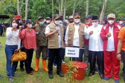 Kepala BNPB - Gubernur Maluku tanam pohon perkuat mitigasi bencana, lestarikan lingkungan
