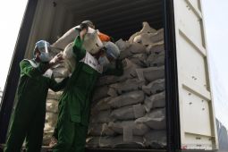 IKM di Gresik ekspor 50 ton porang olahan perbulan