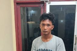 Polsek Pangkalan Susu tangkap pelaku pencuri sepeda motor