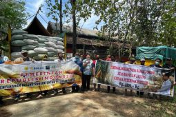 Bulog siap melaksanakan penugasan penyaluran jagung pakan