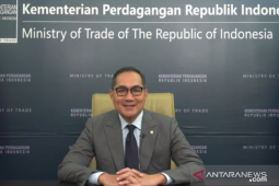 Peningkatan kemampuan digital UMKM  percepat digitalisasi nasional