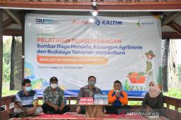 Dorong Produktivitas Pertanian, Pupuk Kaltim Tingkatkan SDM Petani Binaan Sektor Hortikultura