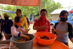 Pemkab Karangasem perpanjang tanggap darurat gempabumi hingga 29 Oktober