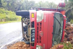 Truk angkut sawit terbalik di Jalinsum Mukomuko