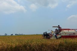 Mentan minta semua pihak bersiap hadapi dampak pemanasan global