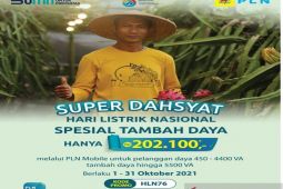 343 pelanggan nikmati program Super Dahsyat PLN