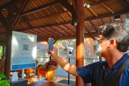 Bali kian favorit dengan yakinkan aman COVID-19