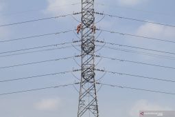 Upaya PLN Turunkan Emisi Karbon