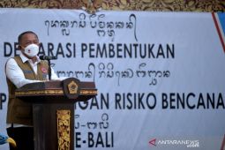 BNPB siapkan strategi cegah COVID-19 jelang ajang internasional