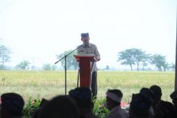 Puncak HPS - 41 di masa pandemi, momentum Kementan buktikan stok produksi pangan aman