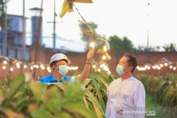 PLN catat 148 ribu petani bergabung dalam program listrik agrikultur
