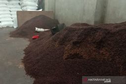 Harga cengkih di Ambon turun, waduh masih tergantung Surabaya