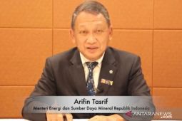 Indonesia berperan penting jadi sumber energi baru terbarukan dunia