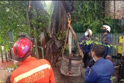 Proses evakuasi batu peninggalan sejarah tahun 1700