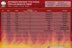 Stasiun Meteorologi Balikpapan deteksi ada 31 hotspot di Kaltim