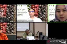 Pemprov Kaltim programkan kawasan perkebunan berbasis korporasi petani