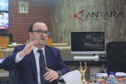 Indonesia has gained global trust due to commitment to peace: envoy