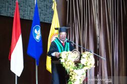 Potensi lahan rawa Kalsel capai 300 ribu hektar untuk pertanian