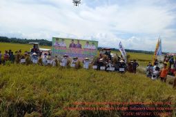Kementan dorong teknologi pertanian adaptif terhadap perubahan iklim