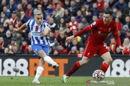 Liverpool buang keunggulan dua gol saat ditahan Brighton 2-2