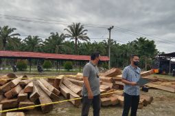 Polres Mukomuko selidiki pemilik 101 batang kayu ilegal