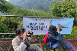 Mengamati burung pemangsa di Hari Burung Migrasi Sedunia