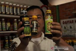 Pengusaha UMKM Balikpapan didorong bikin PT