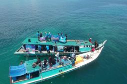 KNPI Bangka Tengah gelar aksi penyelamatan terumbu karang
