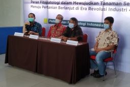 Kerugian petani akibat penyakit tanaman bisa mencapai 35 persen