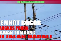 Pemangkasan pohon di Kota Bogor