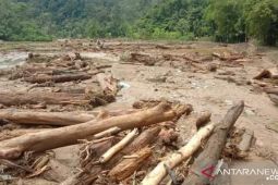 30 hektare sawah petani di Aek Bilah Tapsel rusak akibat banjir