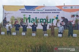 Program Makmur naikkan produktivitas petani 44 persen