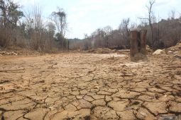 Hadapi badai La Nina 205 bendungan di Indonesia dikosongkan termasuk di Tapin Kalsel