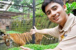 Konten kreator Alshad Ahmad tewas diterkam harimau, benarkah? Cek faktanya