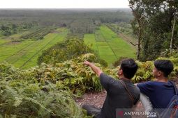 Aktivis lingkungan Kalbar dukung pengolahan hutan sekitar desa