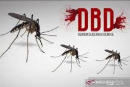 IDI Kabupaten Bangka gandeng PT Timah tekan DBD