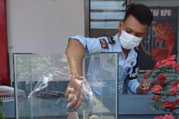 Rutan Gresik tenggelamkan ratusan gawai milik warga binaan ke akuarium