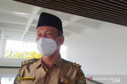 Harga TBS kelapa sawit di Bengkulu terus naik