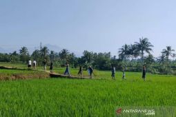 Spektrum - Memberantas kemiskinan ekstrem di Cianjur