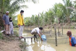 Adaro spreads 10,000 tilapia at Nurul Muhibbin Islamic Boarding School