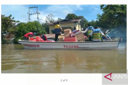 Menteri Sosial tugaskan staf bertahan di daerah banjir tepian Kapuas