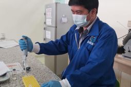BRIN dan Unpad selesaikan uji praklinis kuning telur kandidat vaksin pasif COVID-19