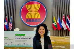 Kesenjangan  masih jadi tantangan akselerasi digital di ASEAN