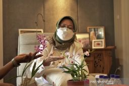 PAI Lumajang daftarkan 12 jenis anggrek hybrid ke lembaga internasional